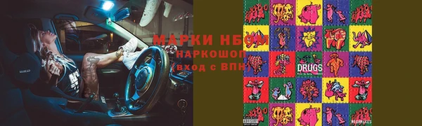 шишки Инсар