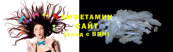 шишки Инсар