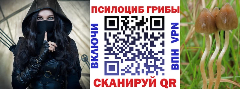 Галлюциногенные грибы Psilocybine cubensis  omg рабочий сайт  Нижние Серги 