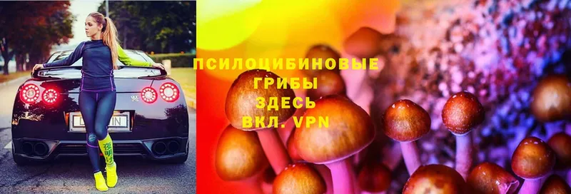 Галлюциногенные грибы Magic Shrooms  хочу наркоту  Нижние Серги 